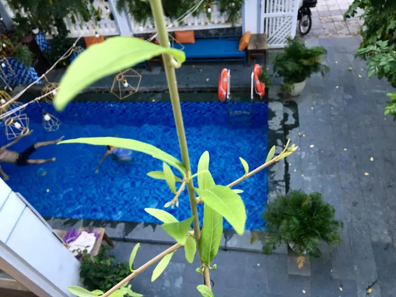 Privat bolig Fusion Villa Hoi An